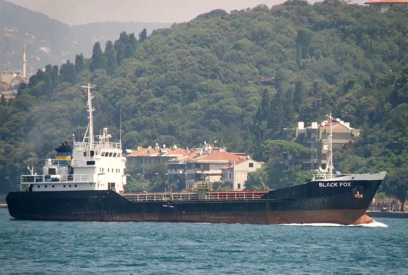 BLACK FOX General Cargo IMO 7042502 photo 3