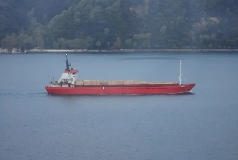 OMRAN General Cargo IMO 7042514 photo 2