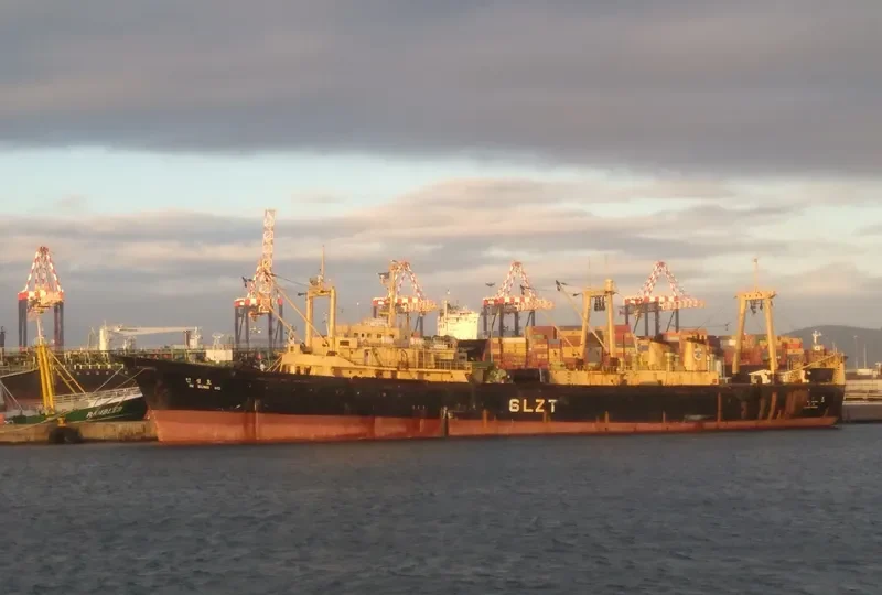 SAE IN CHAMPION General Cargo IMO 7042538