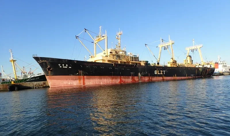 SAE IN CHAMPION General Cargo IMO 7042538 photo 2