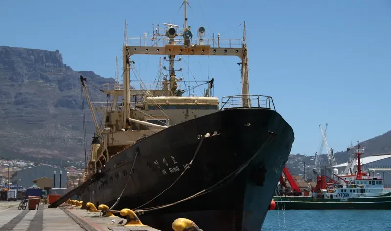 SAE IN CHAMPION General Cargo IMO 7042538 photo 3
