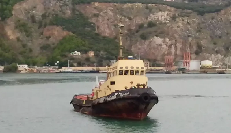 CHELIFF 6 Tug Boat IMO 7046728 photo 2
