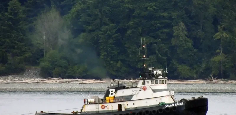 OCEAN EAGLE Tug Boat IMO 7047239 photo 3