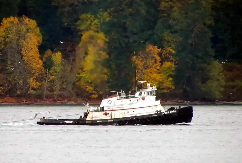 OCEAN EAGLE Tug Boat IMO 7047239 photo 4