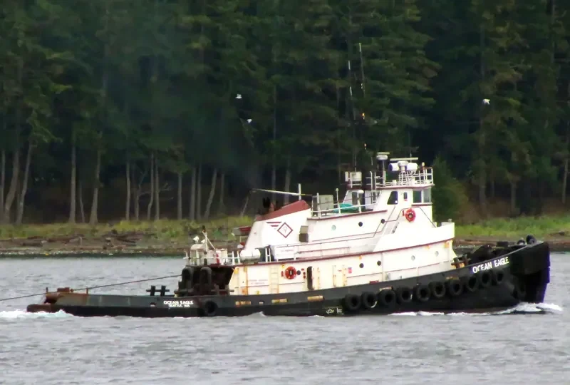OCEAN EAGLE Tug Boat IMO 7047239 photo 5