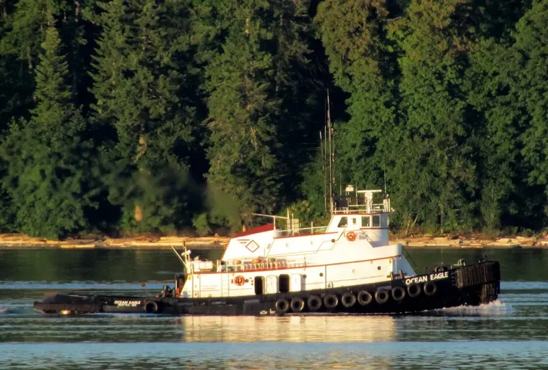 OCEAN EAGLE Tug Boat IMO 7047239 photo 7