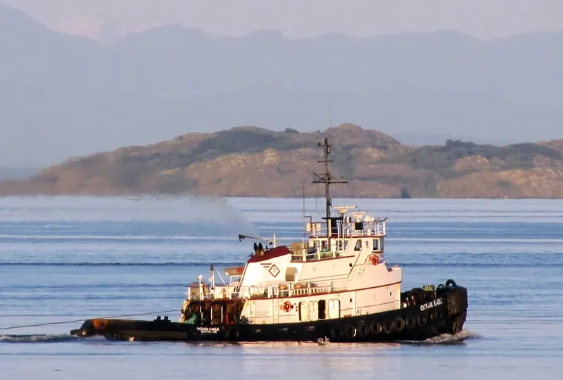 OCEAN EAGLE Tug Boat IMO 7047239 photo 9