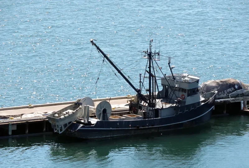 COUGAR Fishing Vessel IMO 7047772