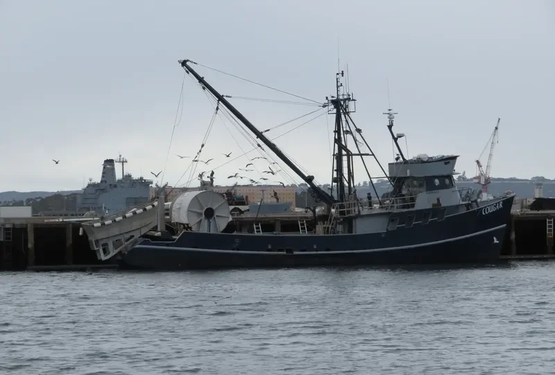 COUGAR Fishing Vessel IMO 7047772 photo 4
