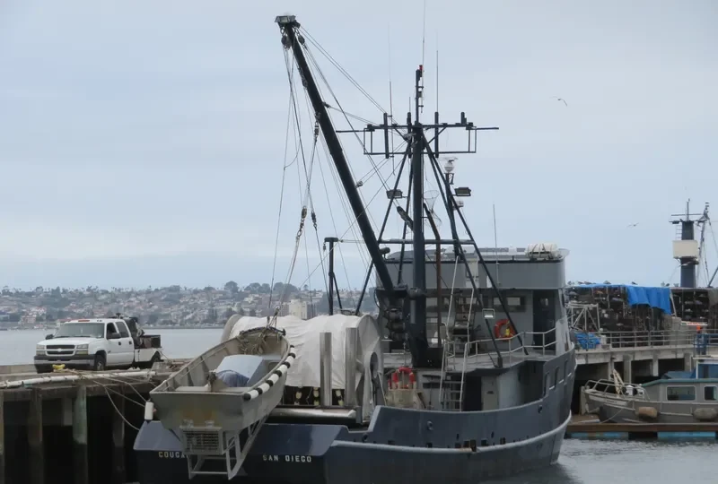 COUGAR Fishing Vessel IMO 7047772 photo 6