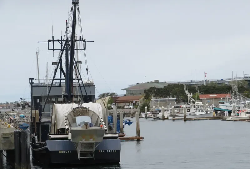 COUGAR Fishing Vessel IMO 7047772 photo 7