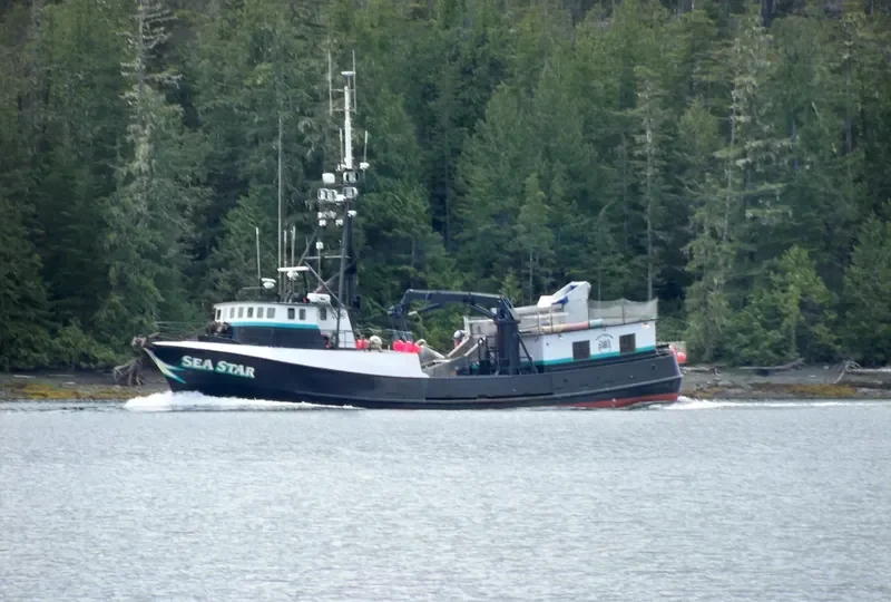 SEA STAR General Cargo IMO 7048271 photo 2