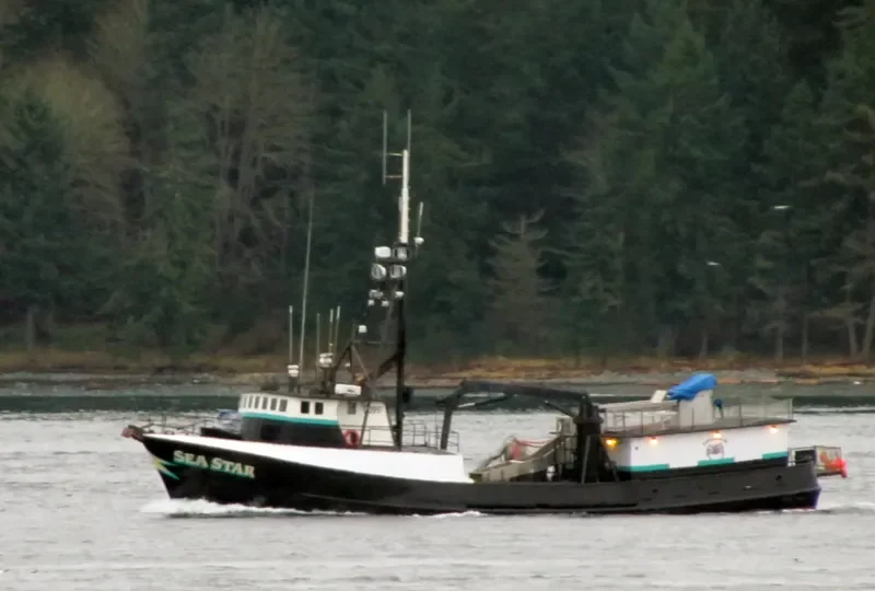 SEA STAR General Cargo IMO 7048271 photo 4