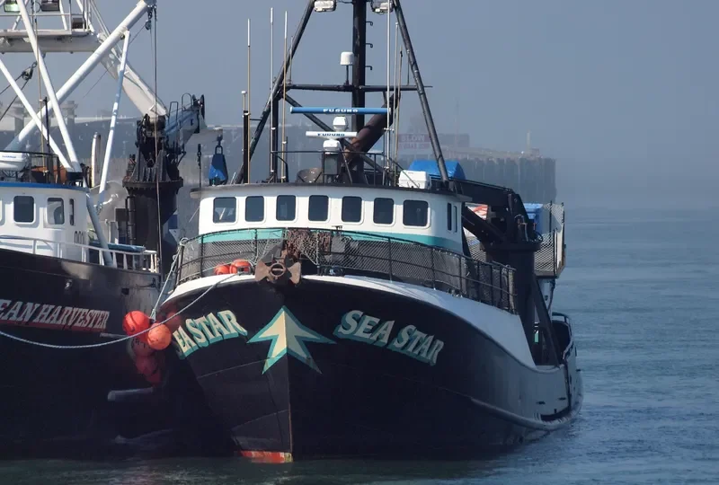 SEA STAR General Cargo IMO 7048271 photo 6