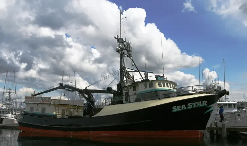 SEA STAR General Cargo IMO 7048271 photo 7