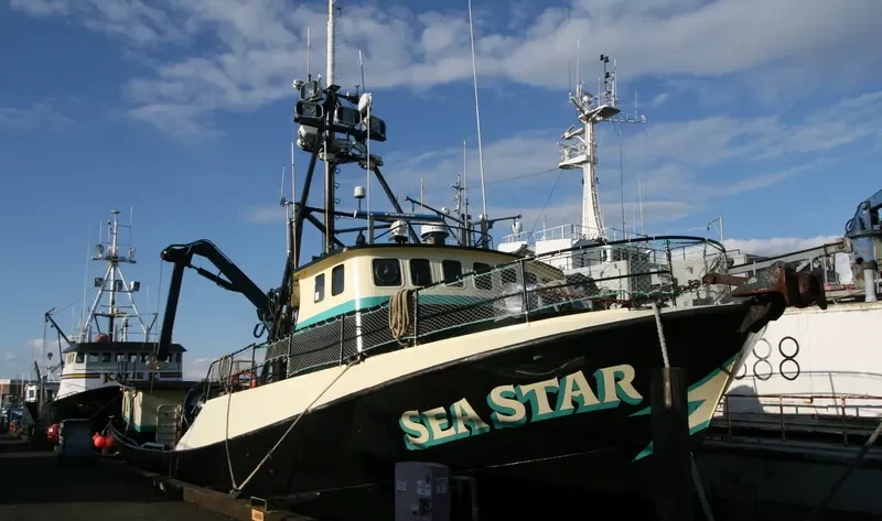 SEA STAR General Cargo IMO 7048271 photo 8