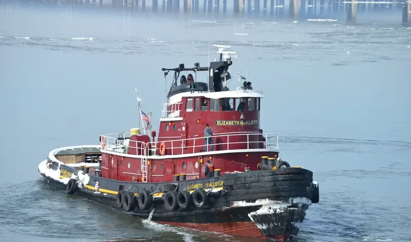 ELIZABETH MCALLISTER General Cargo IMO 7048348 photo 3