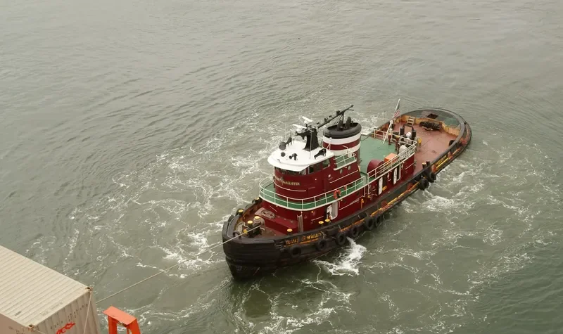ELIZABETH MCALLISTER General Cargo IMO 7048348 photo 4