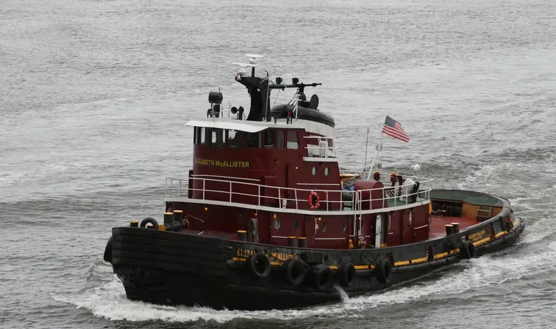 ELIZABETH MCALLISTER General Cargo IMO 7048348 photo 7
