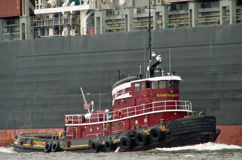ELIZABETH MCALLISTER General Cargo IMO 7048348 photo 8