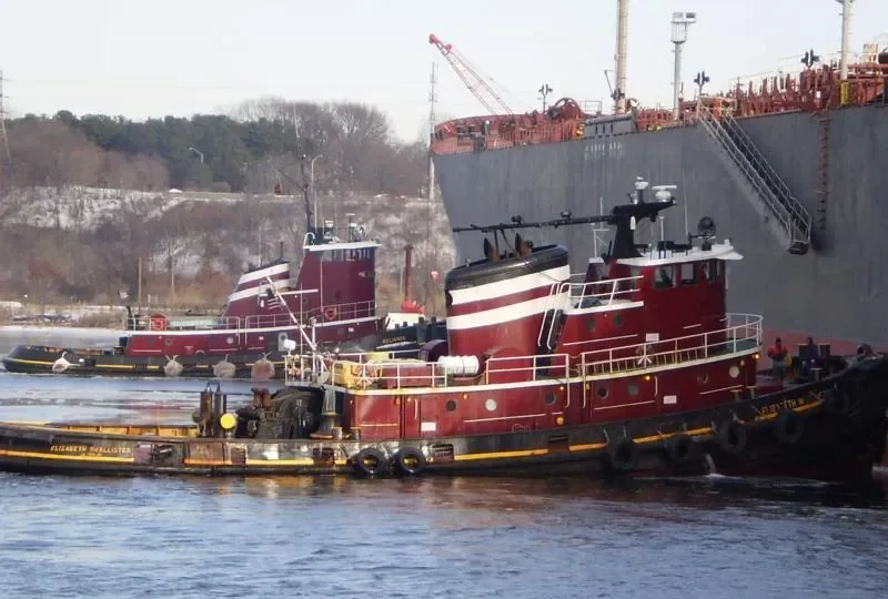 ELIZABETH MCALLISTER General Cargo IMO 7048348 photo 10