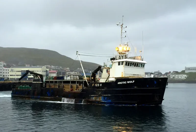 ARCTIC WOLF General Cargo IMO 7048350 photo 2