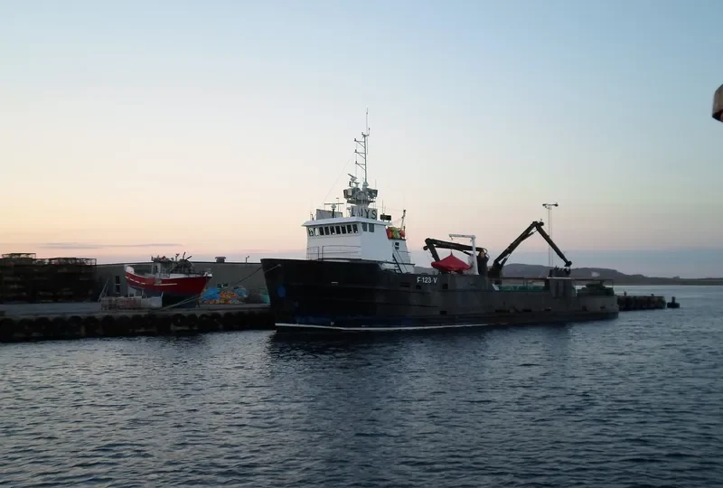 ARCTIC WOLF General Cargo IMO 7048350 photo 5