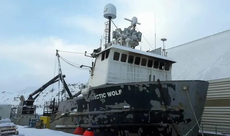 ARCTIC WOLF General Cargo IMO 7048350 photo 7