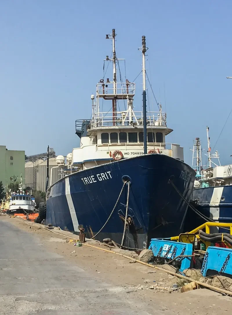 TRUE GRIT Offshore Vessel IMO 7048398 photo 2
