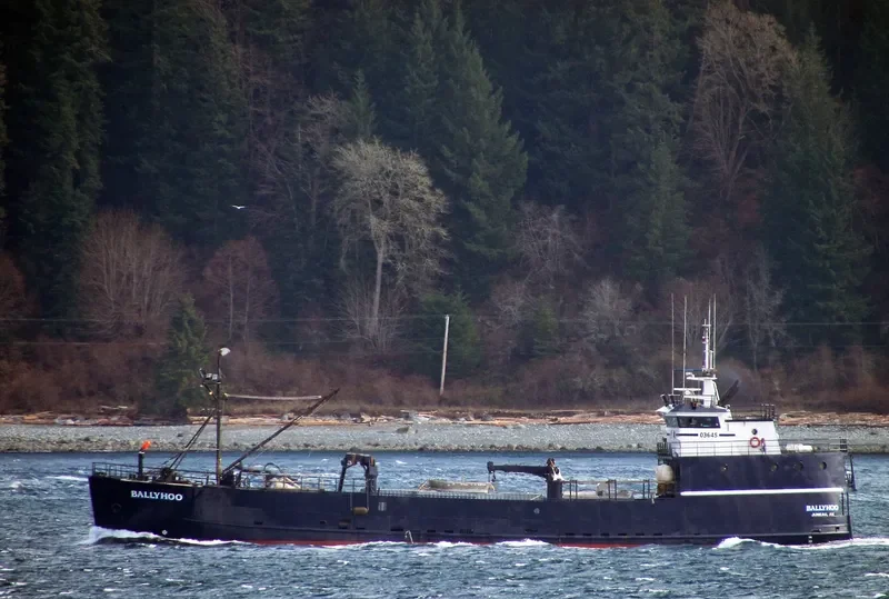 BALLYHOO General Cargo IMO 7049158
