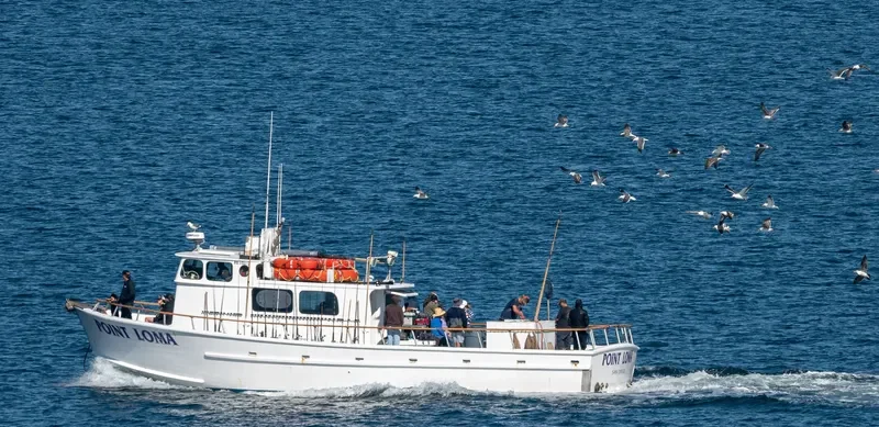 POINT LOMA Fishing Vessel IMO 7049354