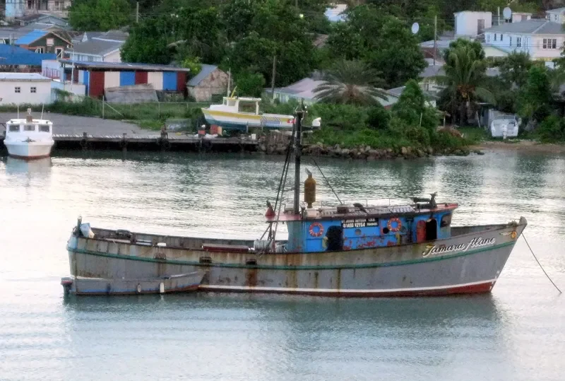 TAMARA ALANE Fishing Vessel IMO 7049421