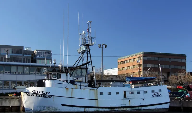 GULF MAIDEN Fishing Vessel IMO 7049627 photo 4