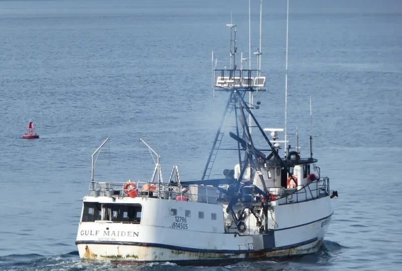 GULF MAIDEN Fishing Vessel IMO 7049627 photo 5