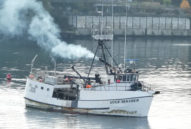 GULF MAIDEN Fishing Vessel IMO 7049627 photo 6