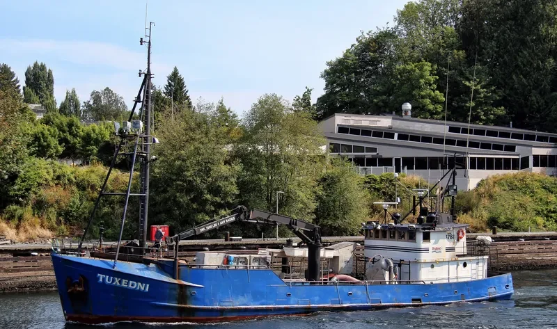 TUXEDNI Fishing Vessel IMO 7050195