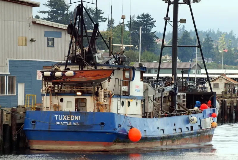 TUXEDNI Fishing Vessel IMO 7050195 photo 3