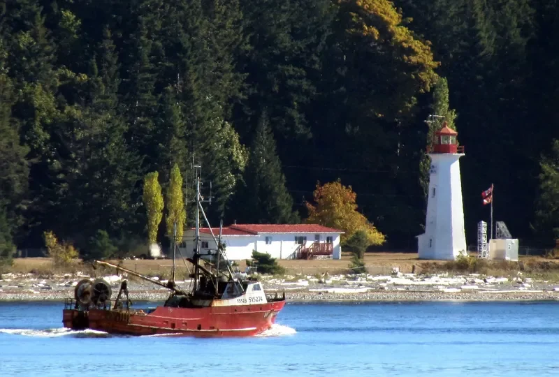 ALASKA WIND Fishing Vessel IMO 7050200