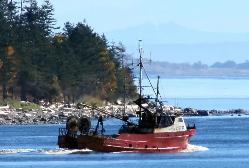 ALASKA WIND Fishing Vessel IMO 7050200 photo 2