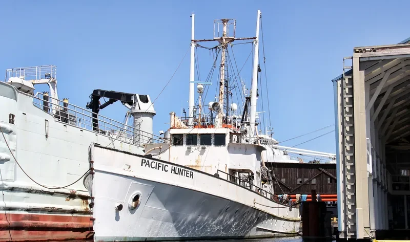 PACIFIC HUNTER General Cargo IMO 7051383