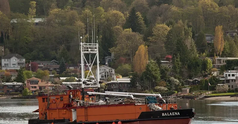 BALAENA Fishing Vessel IMO 7051450 photo 2