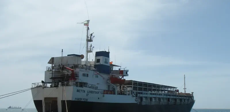 CAPTAIN SALIM General Cargo IMO 7052179 photo 2