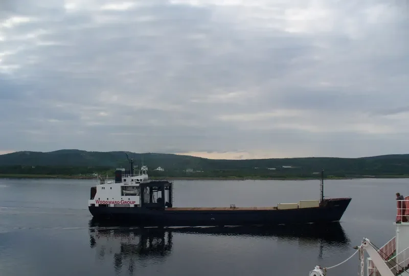 ASTRON Ro-Ro IMO 7052363 photo 2
