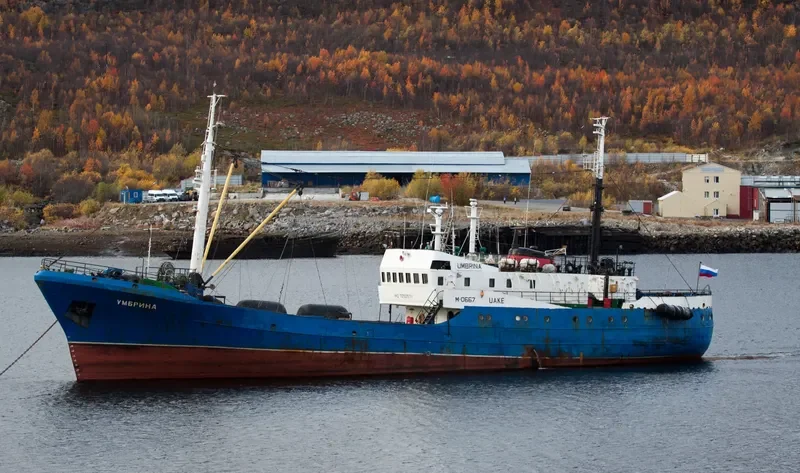 UMBRINA General Cargo IMO 7052571