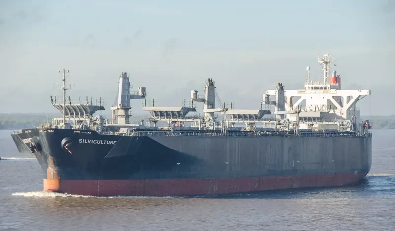 SILVICULTURE Bulk Carrier IMO 7053331