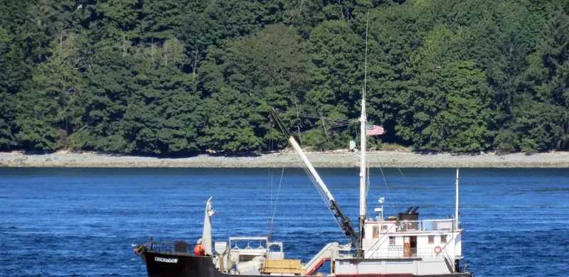 CHICHAGOF Fishing Vessel IMO 7100421 photo 2