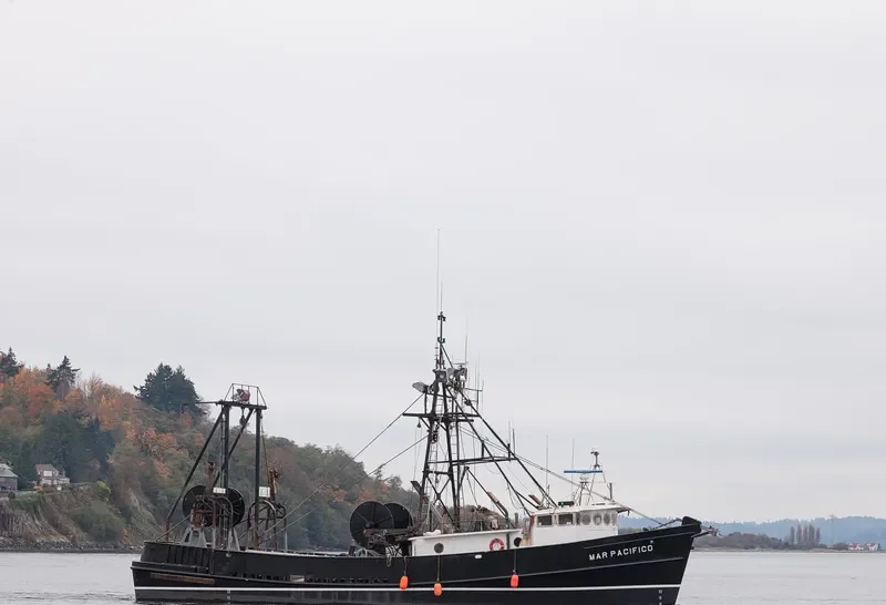 MAR PACIFICO Fishing Vessel IMO 7101011