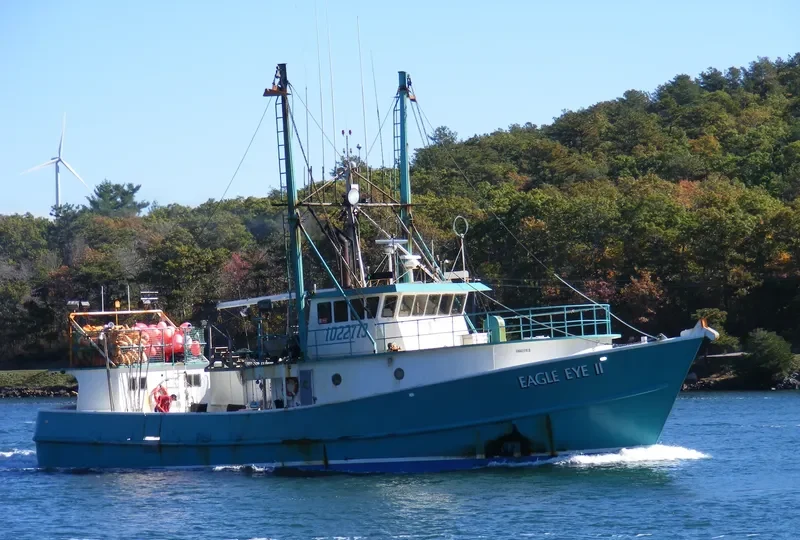 BIG EYE General Cargo IMO 7101736