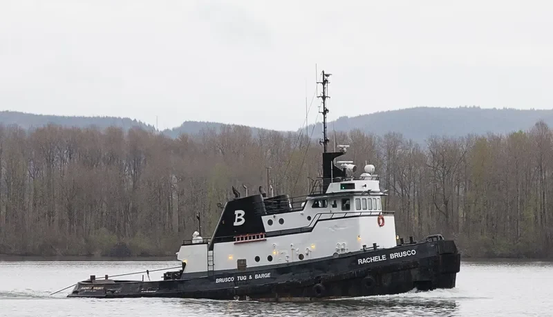 RACHELE BRUSCO General Cargo IMO 7101827 photo 4
