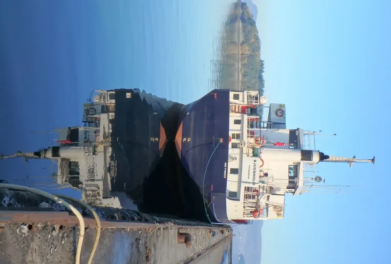 BULK TRANS General Cargo IMO 7102259 photo 7